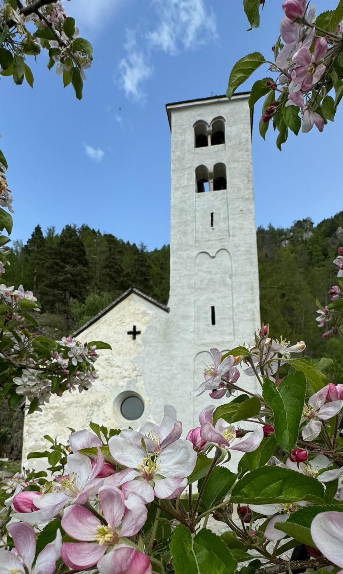Ferienwohnungen Jojasa Laces Exterior foto