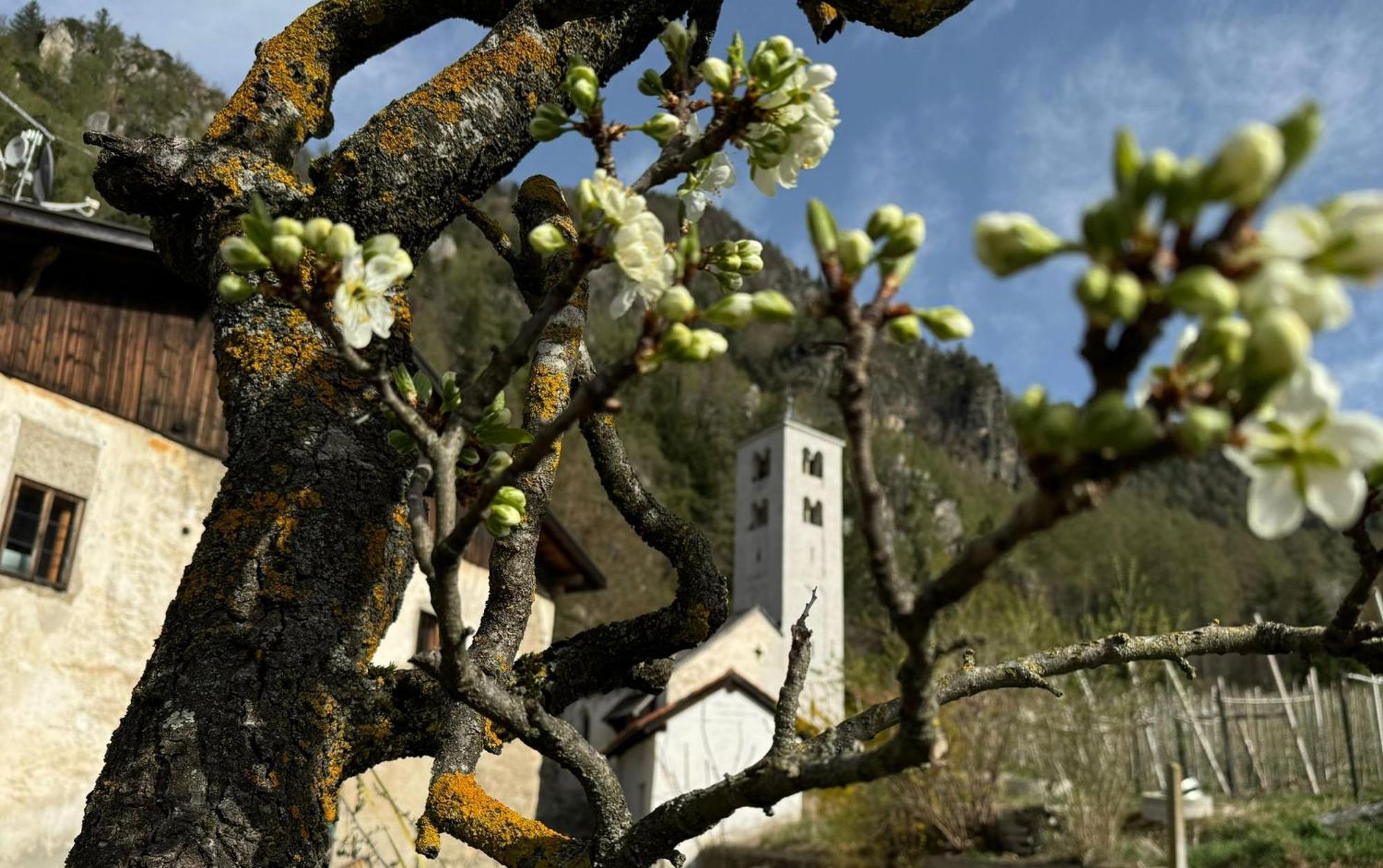 Ferienwohnungen Jojasa Laces Exterior foto